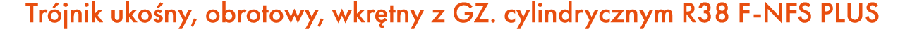 Tr jnik uko ny, obrotowy, wkr tny z GZ. cylindrycznym R38 F NFS PLUS