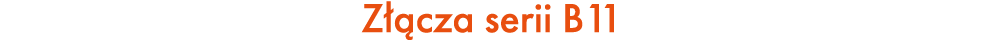 Z cza serii B11